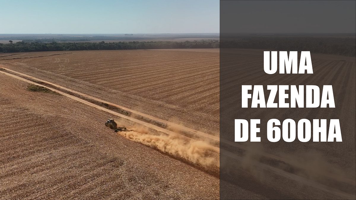 Uma fazenda de 600 hectares