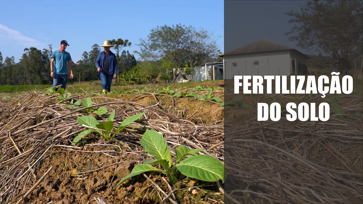 Fertilização do solo