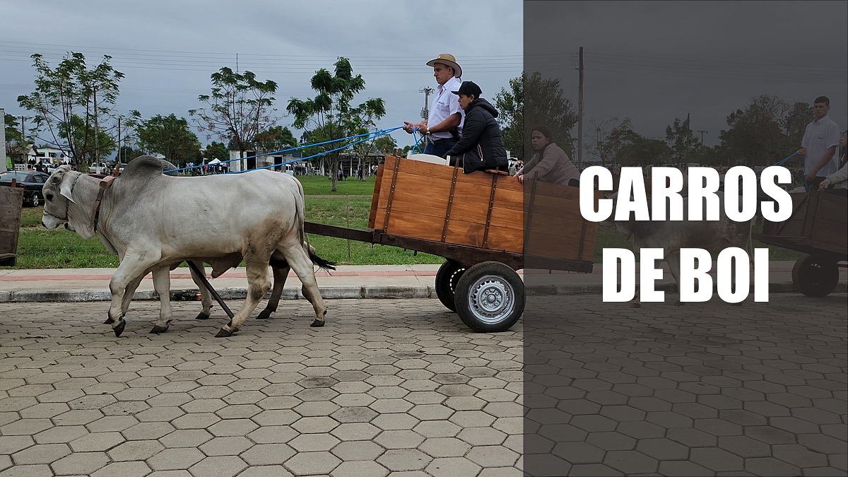 Carros de boi