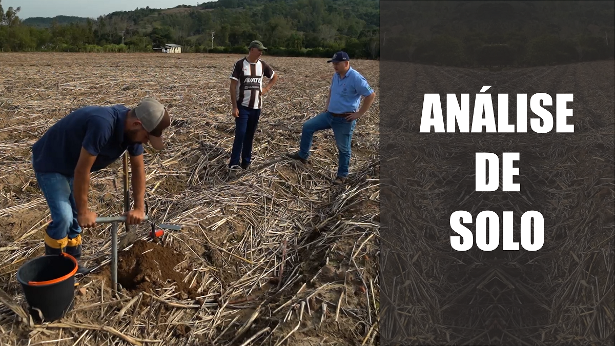 Análise de solo