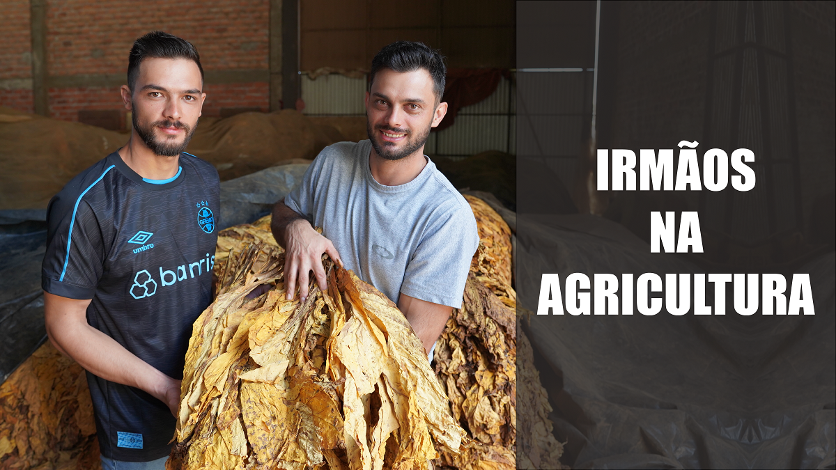 Irmãos na agricultura