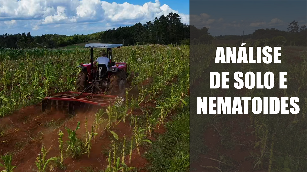 Análise de solo e nematoides