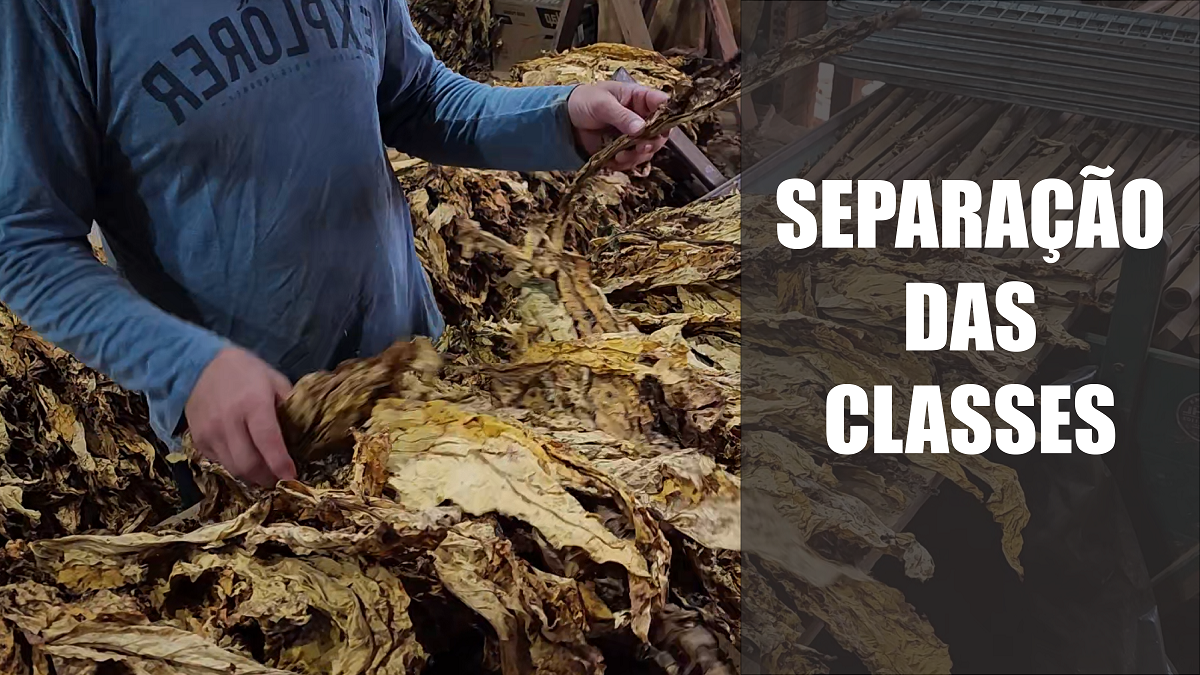 Separação das classes