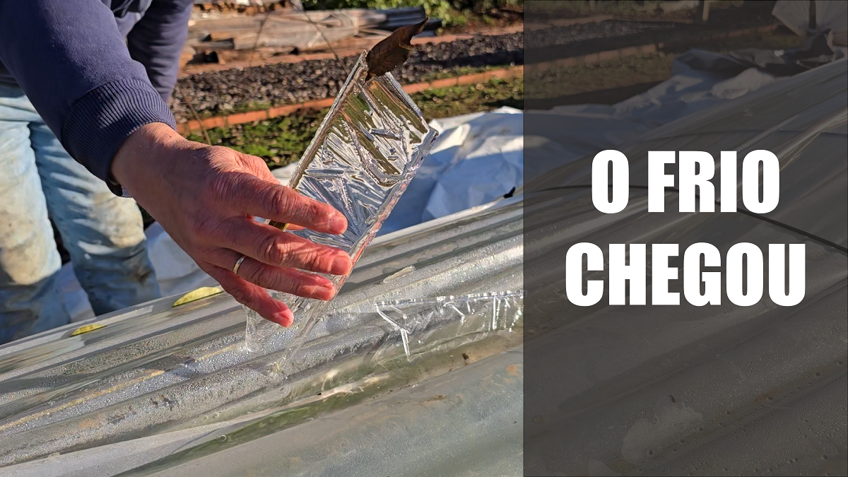 O frio chegou